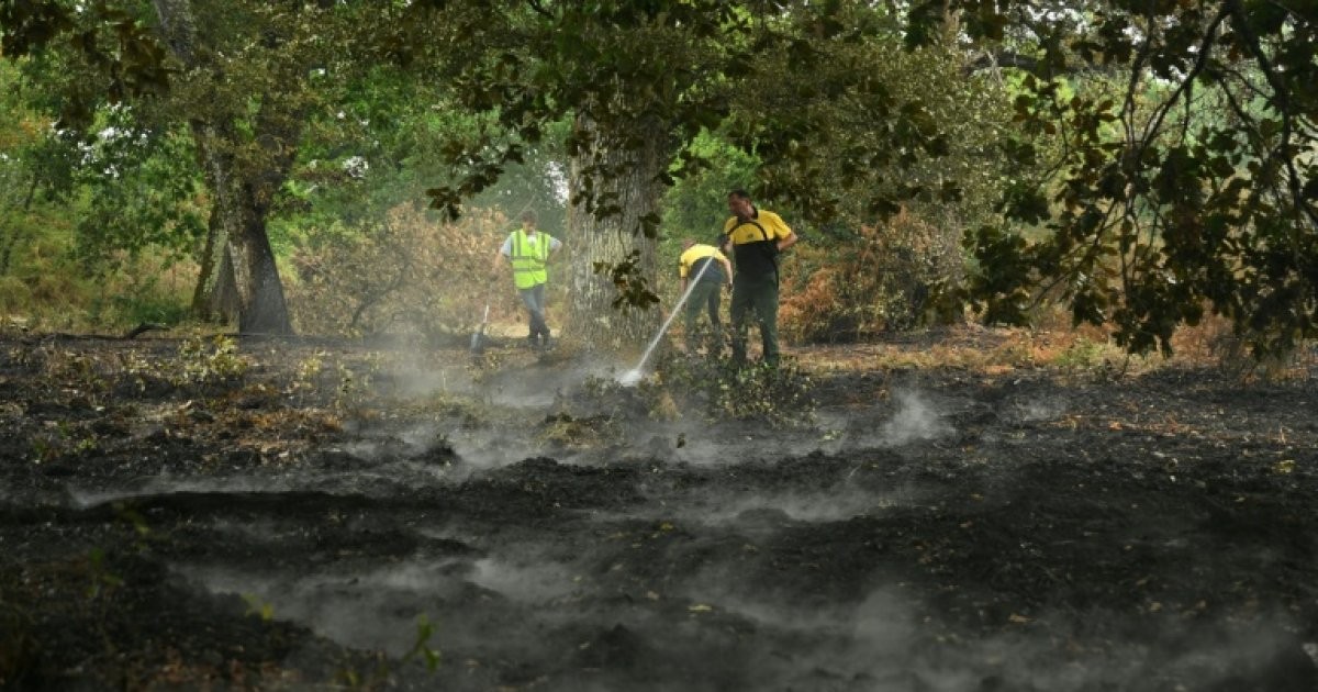Incendie dans les Landes : Luglon respire, 250 habitants de retour au village