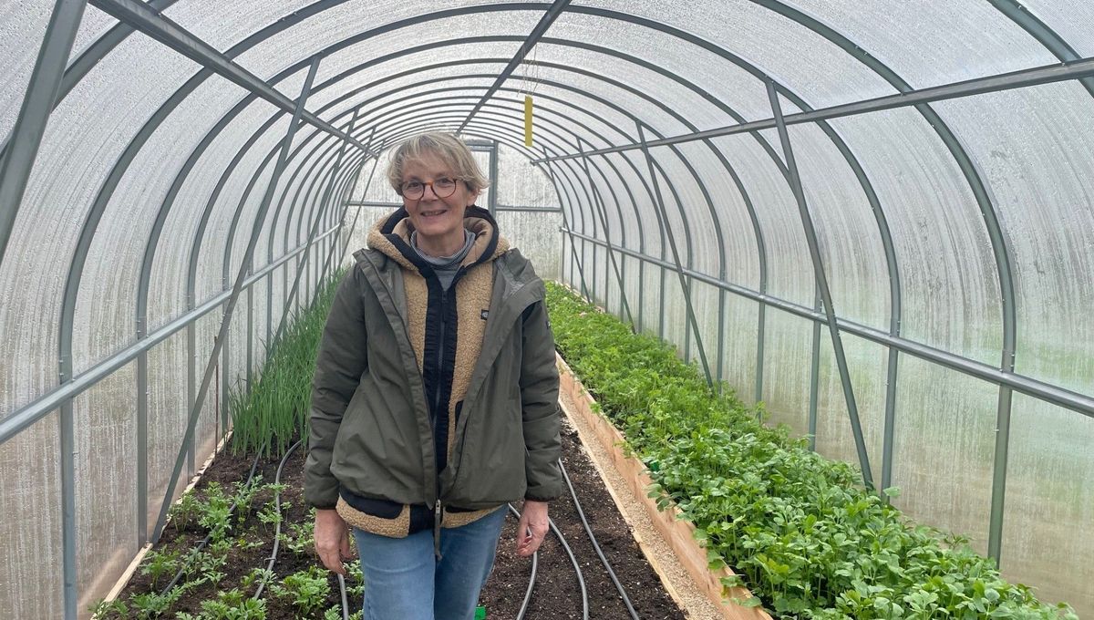 Saint-Valentin : une productrice vauclusienne défend nos fleurs